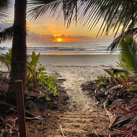 Vila Beauty Tiny Walk To Sea Port Douglas Exteriér fotografie